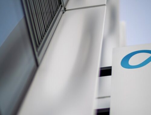 Meta Cases Put Social Media Platforms at Securities Fraud Risk