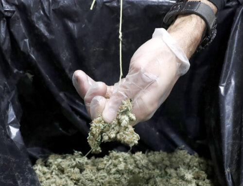 4/20: How Illinois spends marijuana money