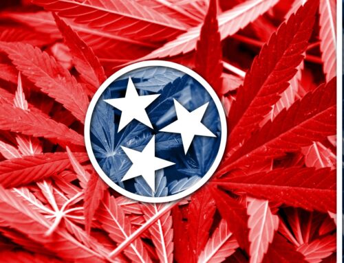 State lawmaker calls for special legislative session on medical cannabis