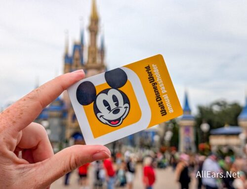 What Disney World Annual Passholders Buy From Amazon That First-Timers…