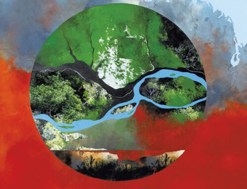 Artists Explore ‘Human Impact’ on the Environment at BCA Center