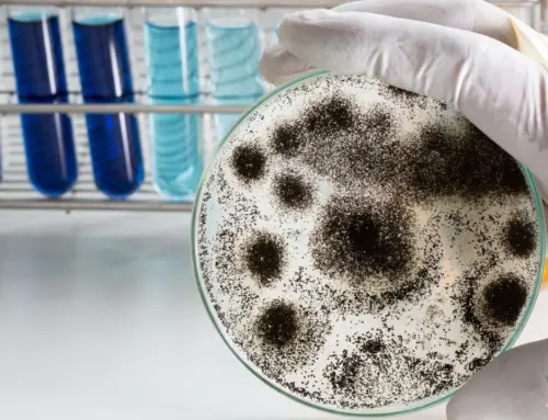 Should cannabis remediated with radiation be labeled?