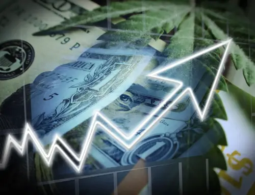 Safe Harbor Launches Cannabis-Focused PEP 401(k) Plan