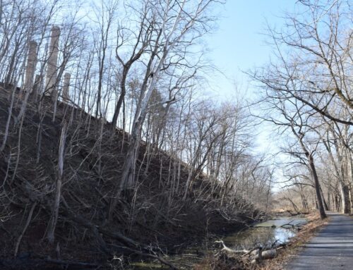 Will the Dickerson data center project impact MoCo’s environment?