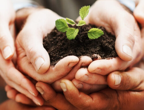 Europe’s distinct biotech venture studio model