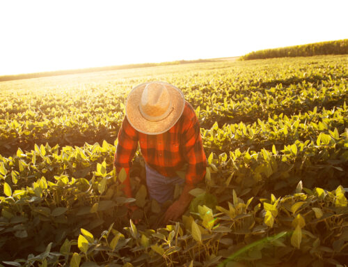 Understand the scope of environmental injustice on Earth Day