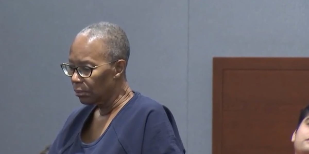 Woman sentenced to at least 3 years for deadly Tesla hit-and-run