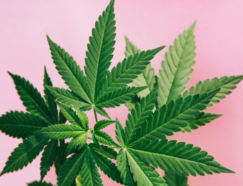 Ohio law increases penalty for selling cannabis to those under 21