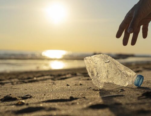 Ten EU countries exceeding SUPD collection targets