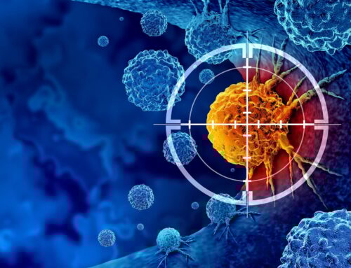 China’s Oricell raises $100M for carcinoma CAR-T plans ahead of IPO push