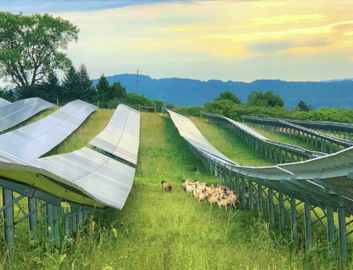 Electricity grid maps could speed addition of renewable energy sources in Pa., panel hears