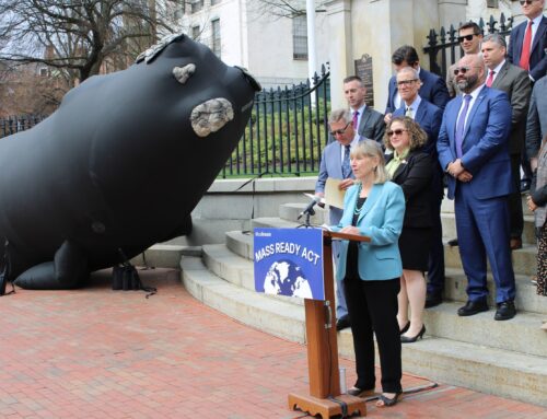 Senate passes $3.6 billion environmental bond bill in bipartisan vote