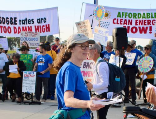 Meet some of the leaders behind San Diego’s environmental movements