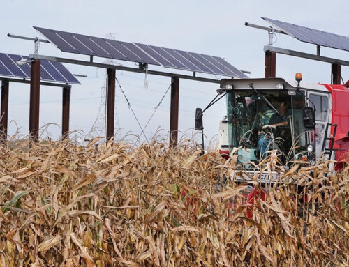 Indiana Land Use Summit to Share Resources about Agrivoltaics, Renewable Energy