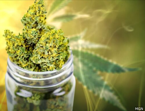 Virginia agency warns drivers against cannabis use ahead of 4/20