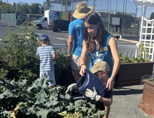 Emerald Keepers camps introduce children to nature, environment