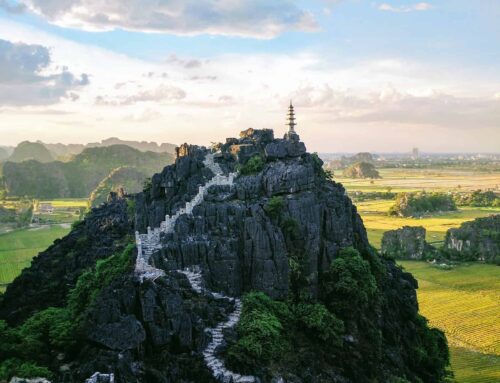 Farmnet Raises $11.75m in Private Credit Deal with Symbiotics