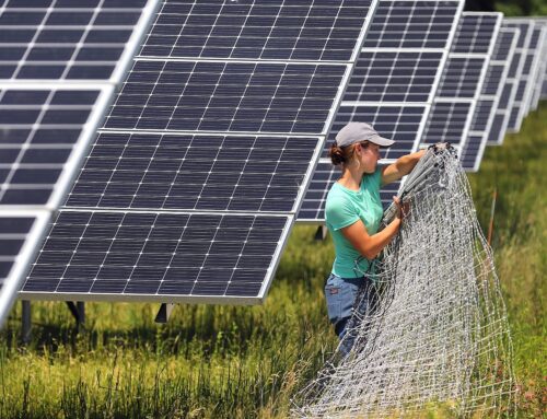 The state of solar: Despite partisan rhetoric, the industry is still booming