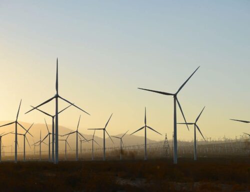 Growth of Renewable Energy in US Defies Trump Attacks