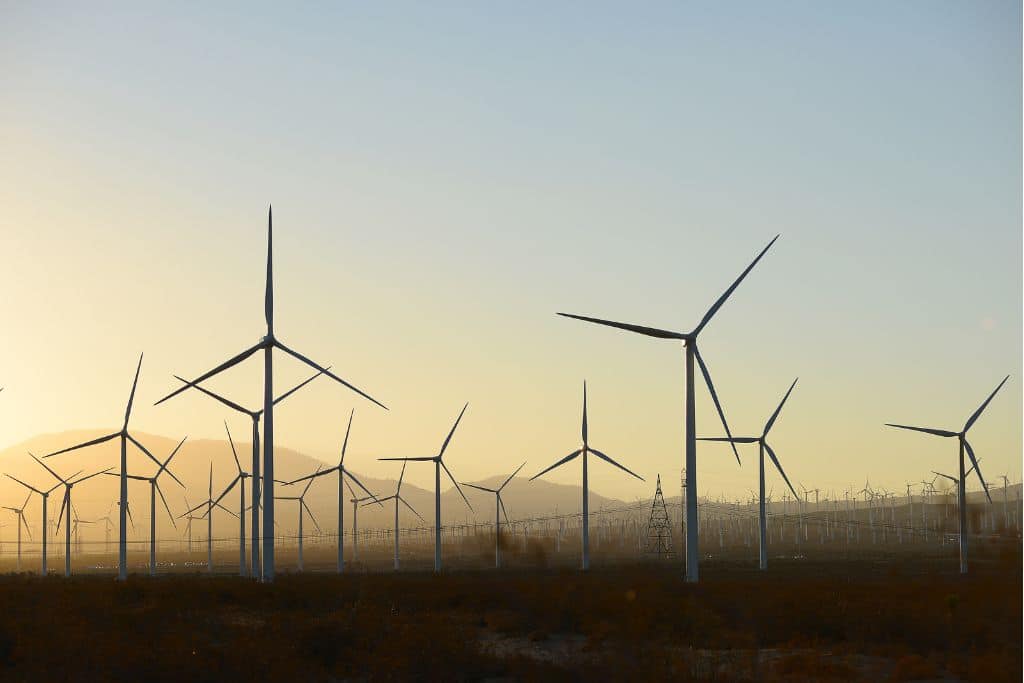 Growth of Renewable Energy in US Defies Trump Attacks Growth of Renewable Energy in US Defies Trump Attacks