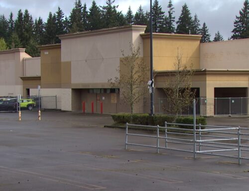 North Seattle WinCo store plan delayed as environmental review overturned