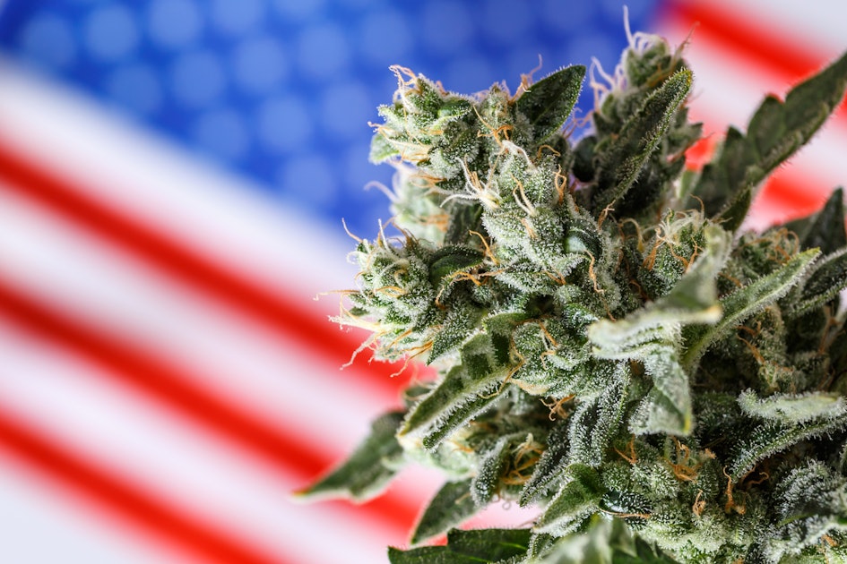 The Biggest Things About Schedule III You Haven’t Thought Of