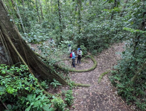 Tracking environmental crime in the Amazon: A conversation with Alexa Vélez