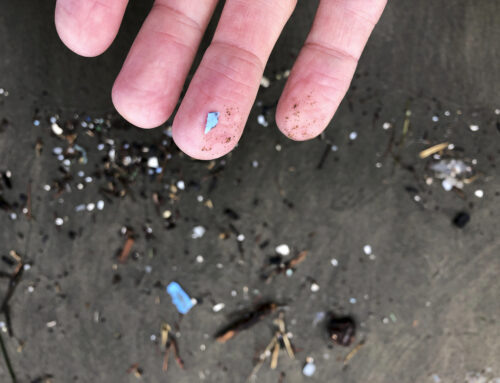 Trump administration proposes new research for microplastics, pharmaceuticals in drinking water