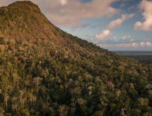 A simple idea to ease conservation costs: transferring funds