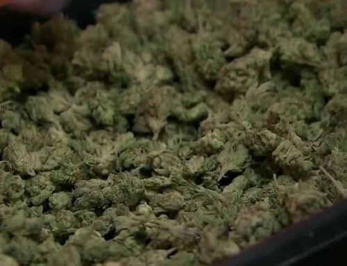 ‘Slap in the face’: Medical cannabis access uncertain in Nebraska