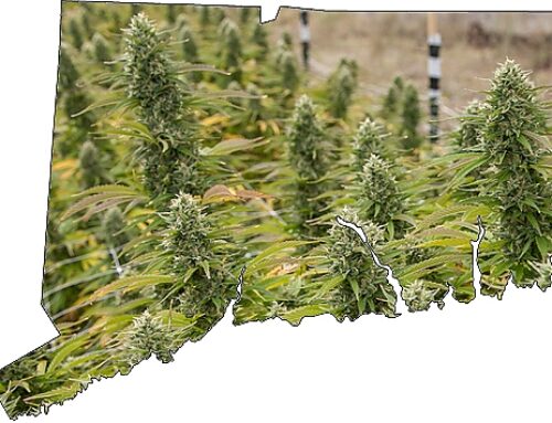 Opinion | Strengthening Connecticut’s Cannabis Market Must Not Come At The Expense Of Equity