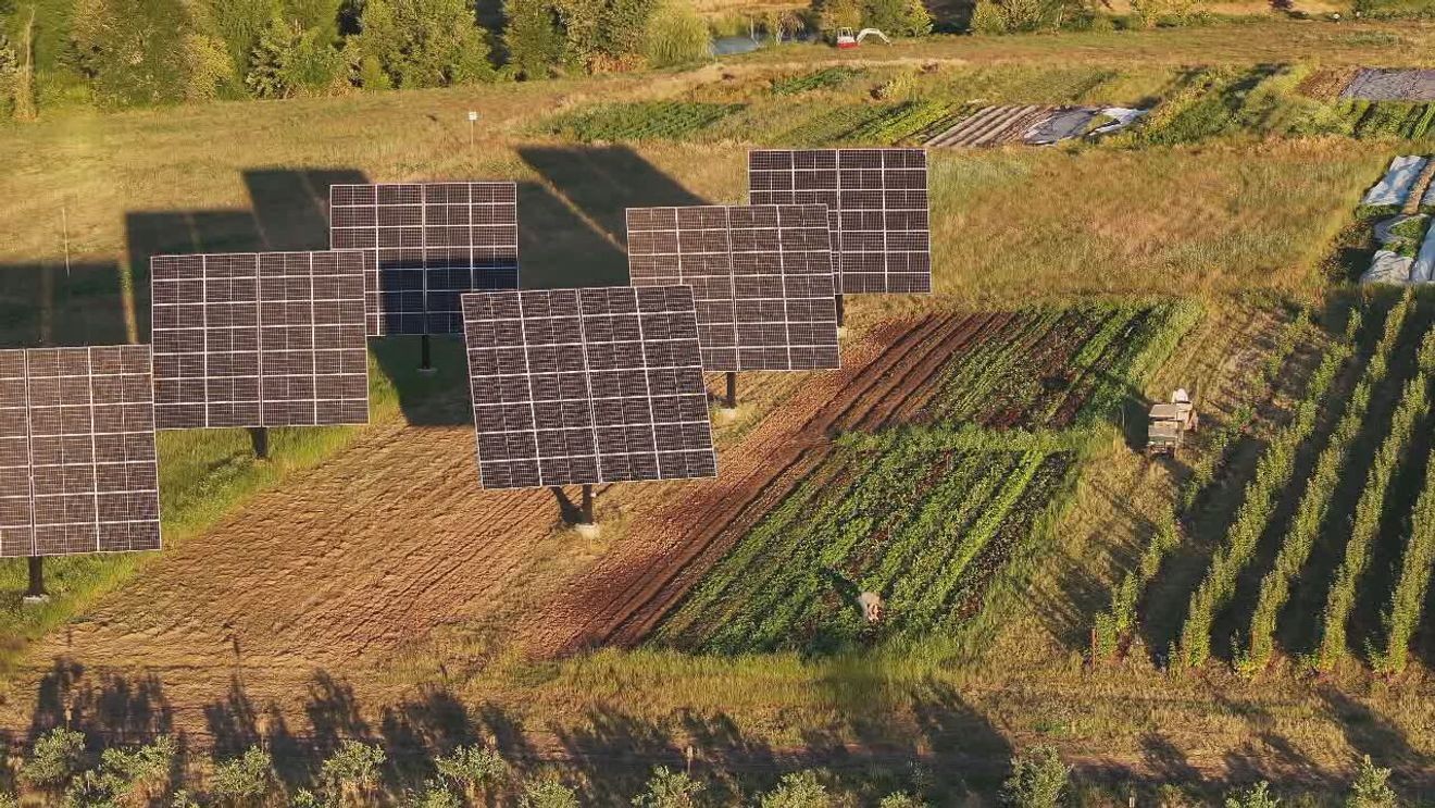 Sun-tracking solar and batteries power Sherwood farm and store, sending energy to grid