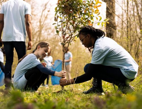 Get Inspired by These Grassroots Environmental Organizations on Earth Day | The Saturday Evening Post