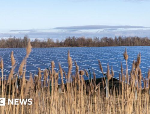 Revised plans for solar farm near Beverley announced