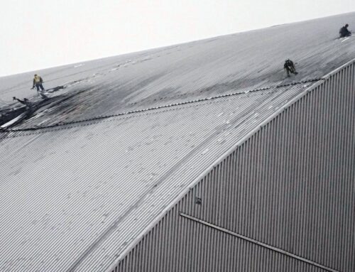 Research at Chernobyl and Fukushima shows how radioactive materials move in the environment