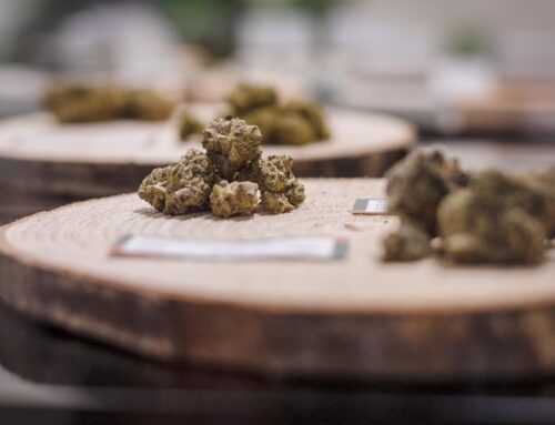 Federal reclassification of marijuana could ‘turbocharge’ Vermont’s medical market