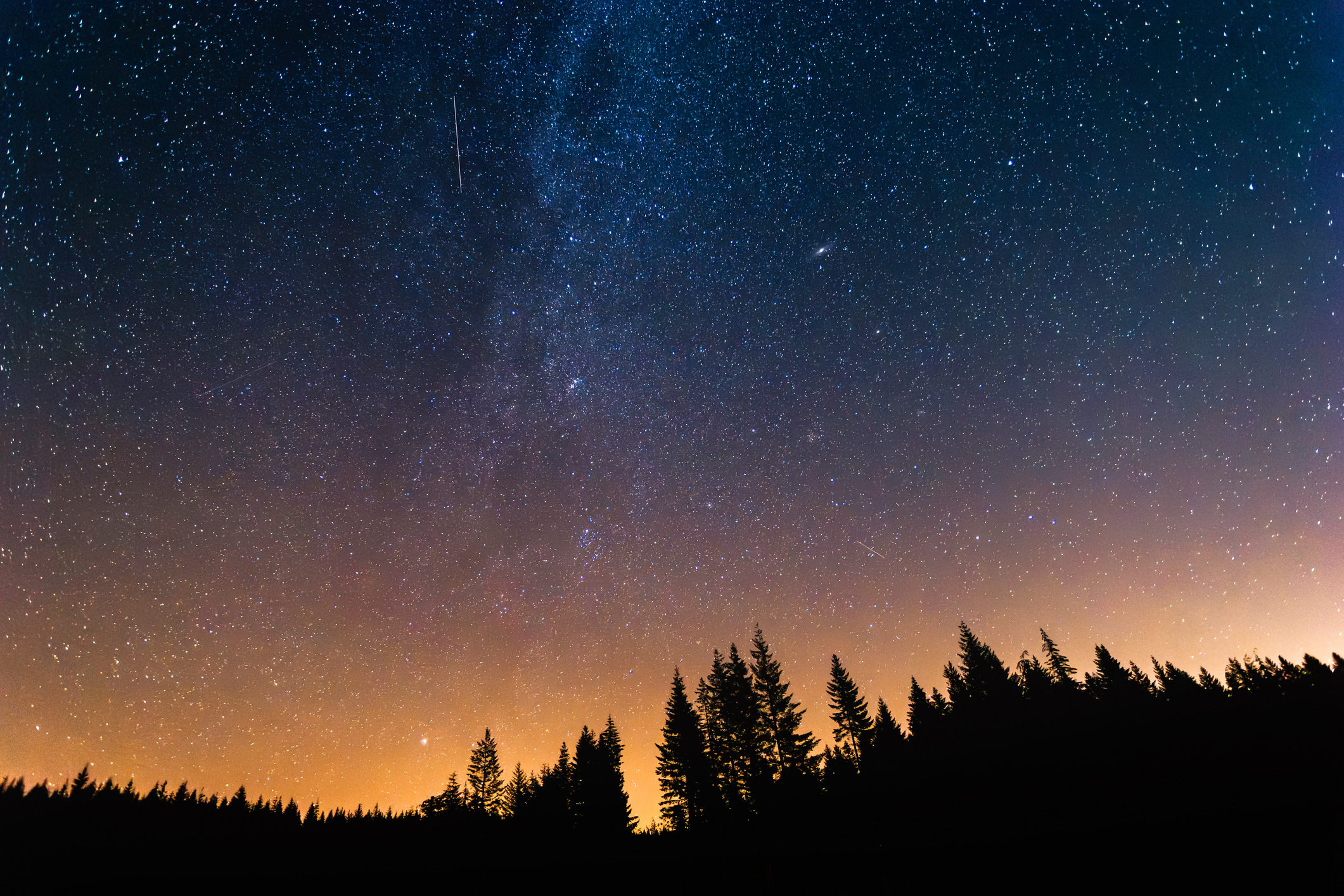 How my Catholic faith informs my environmental advocacy