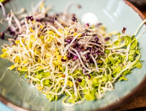 Sprouts Farmers Market’s Plunge Offers Investors A Discount (Upgrade)