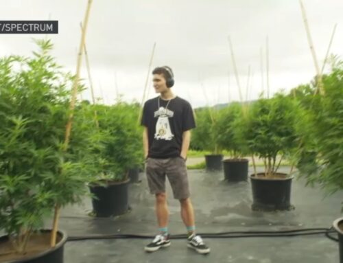 A family found cannabis helps their autistic son, and they want it to help others