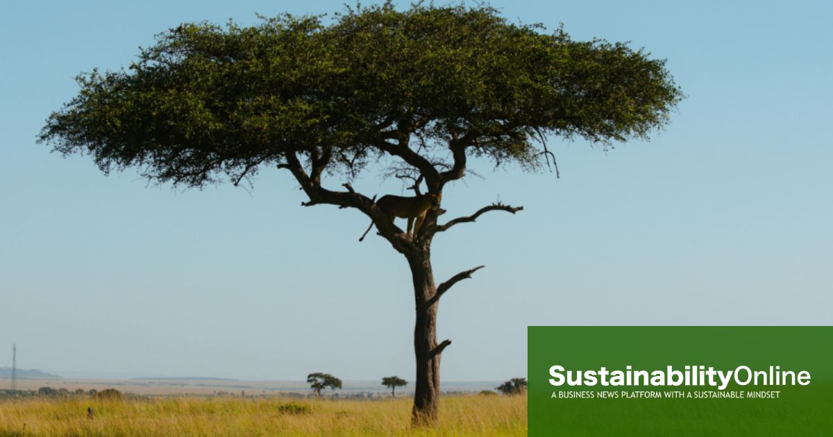 .9 billion pledged to Global Environment Facility for next replenishment cycle .9 billion pledged to Global Environment Facility for next replenishment cycle