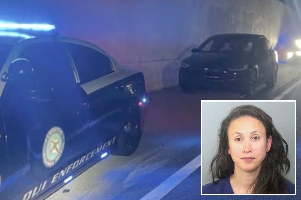 Plastered driver found asleep in Tesla using autopilot — in the middle of a Florida highway