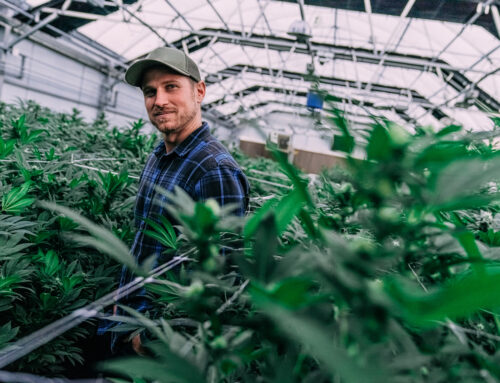 New Cannabis Rules Just Created Winners and Losers: What the Split Schedule Means for Medical Operators and MSOs