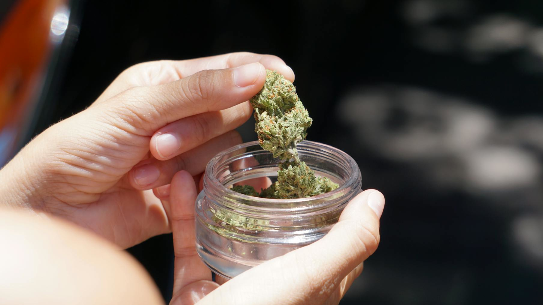 Indiana embraces marijuana with more than B sales, study finds