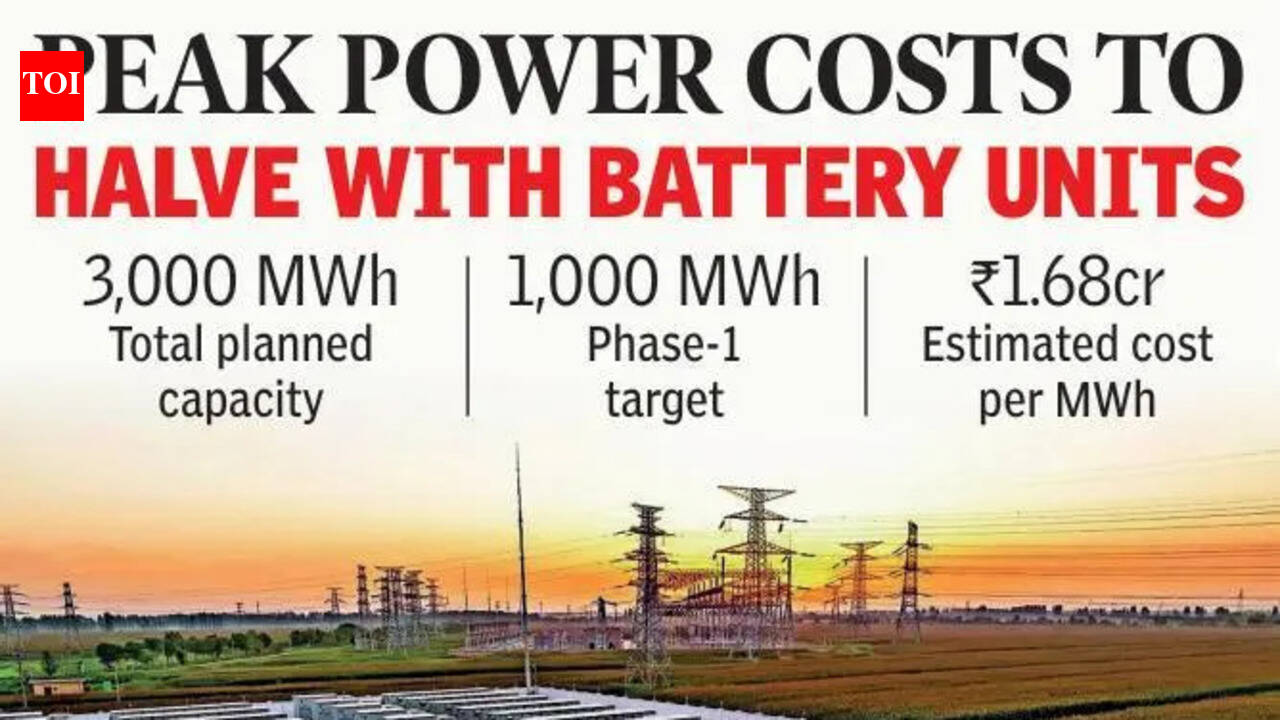 AP plans 3,000 MWh battery storage systems