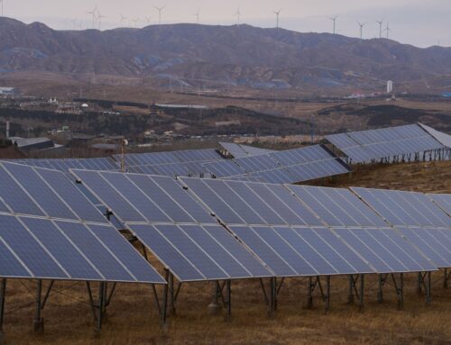 Renewable energies overtook global electricity demand last year, led by solar growth in China, India