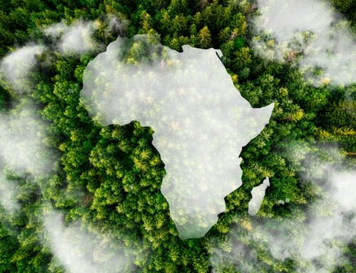 REFFECT AFRICA: Converting waste into African renewable energy through biomass gasification