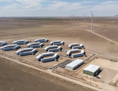 Why are Data Centre Firms Becoming Green Energy Producers?