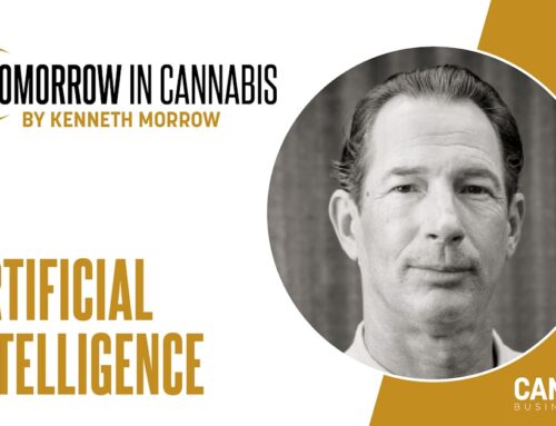 How to Utilize AI in the Future of Cannabis