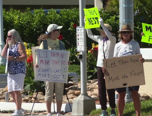 Florida nonprofit demands resort move Country Thunder concert off the beach amid permit, environment concerns