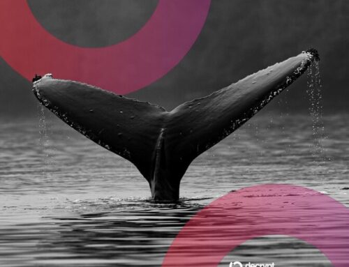 Ethereum ICO Whale Who Turned $3,100 Into $23M Wakes Up After a Decade